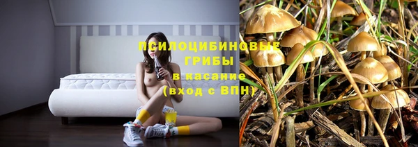 прущие грибы Нефтекумск